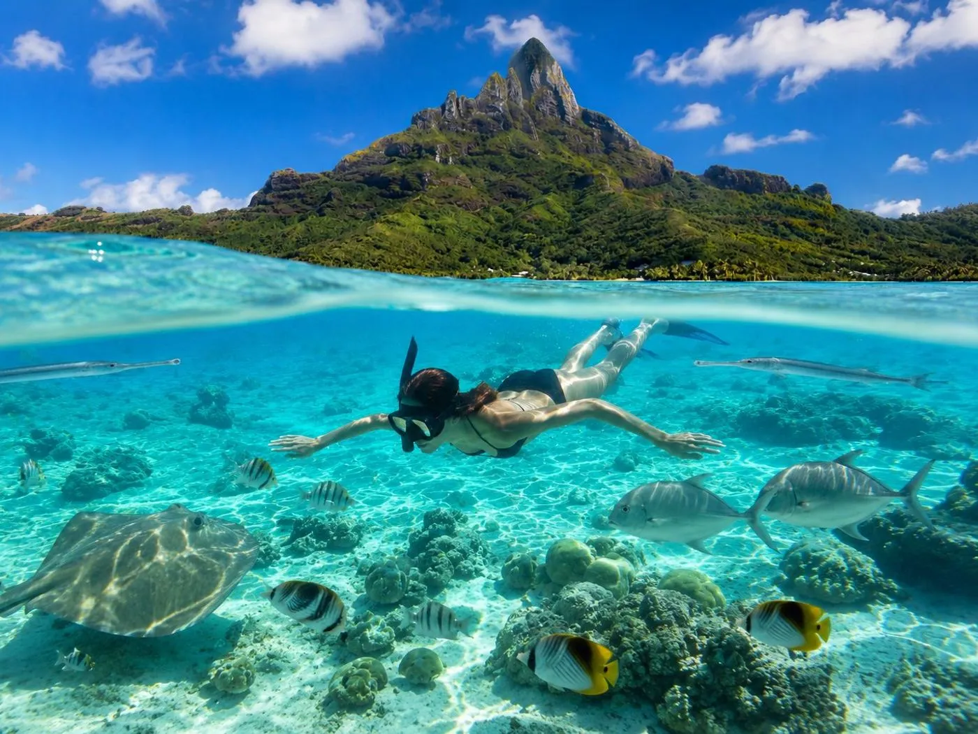 Tour Snorkeling